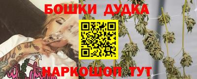 тгк Шелехов