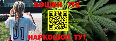тгк Шелехов